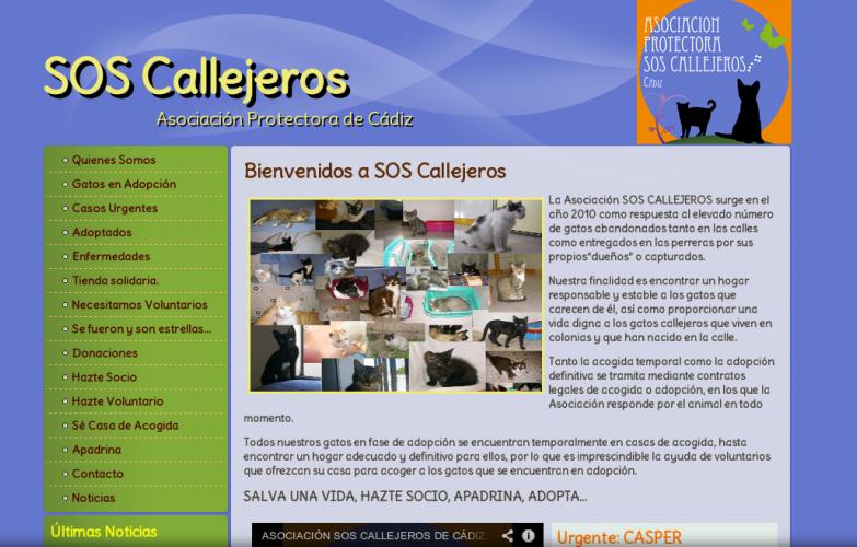 Sos Callejeros